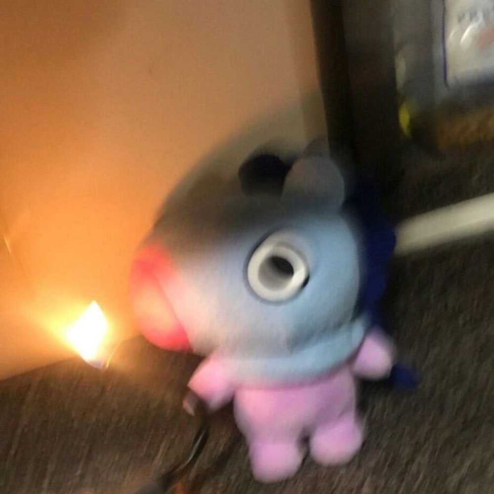 Meet your Posher, Estrella